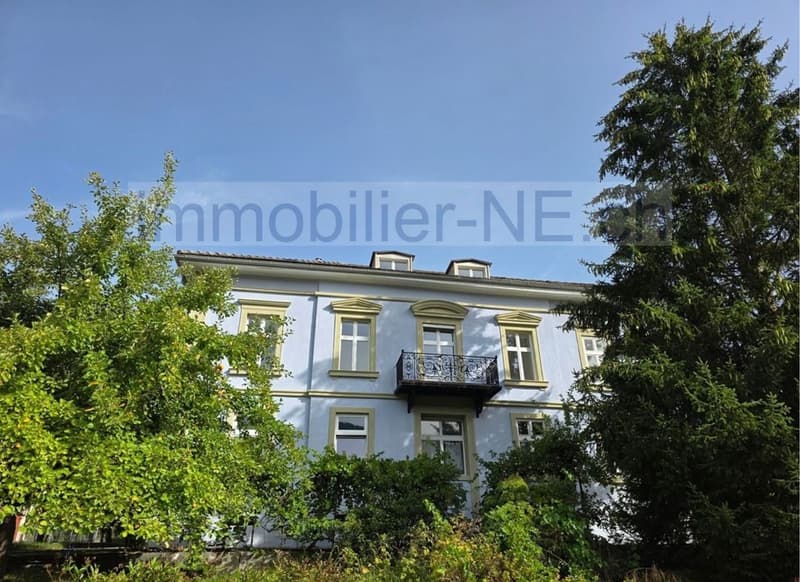 Maison de maître rénovée - 5 appartements à Corgémont (1)