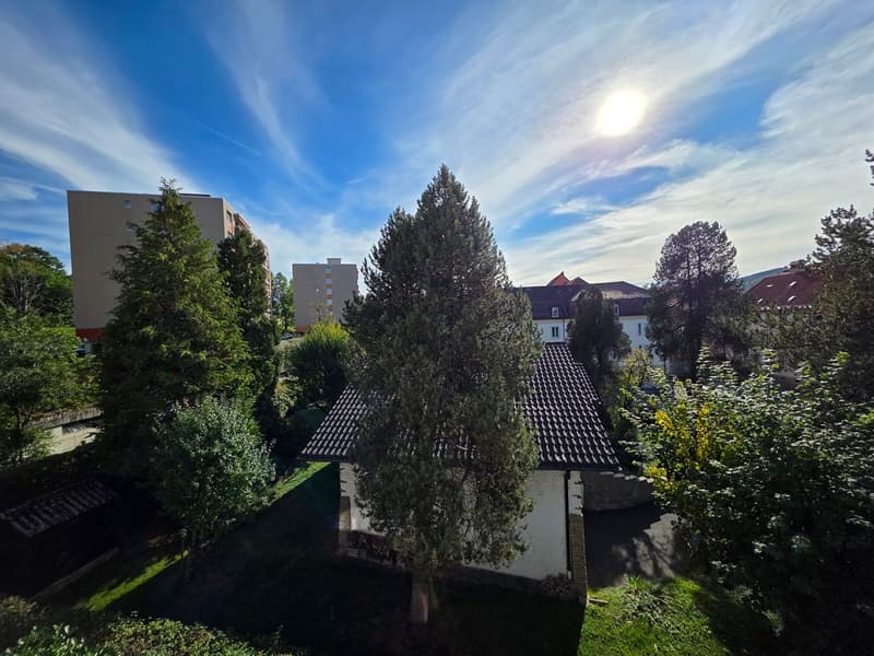 Appartement 5,5 pièces avec terrasse, garage double et place de parc extérieure (4)