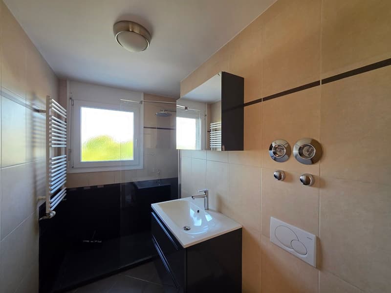 Appartement 5,5 pièces avec terrasse, garage double et place de parc extérieure (11)