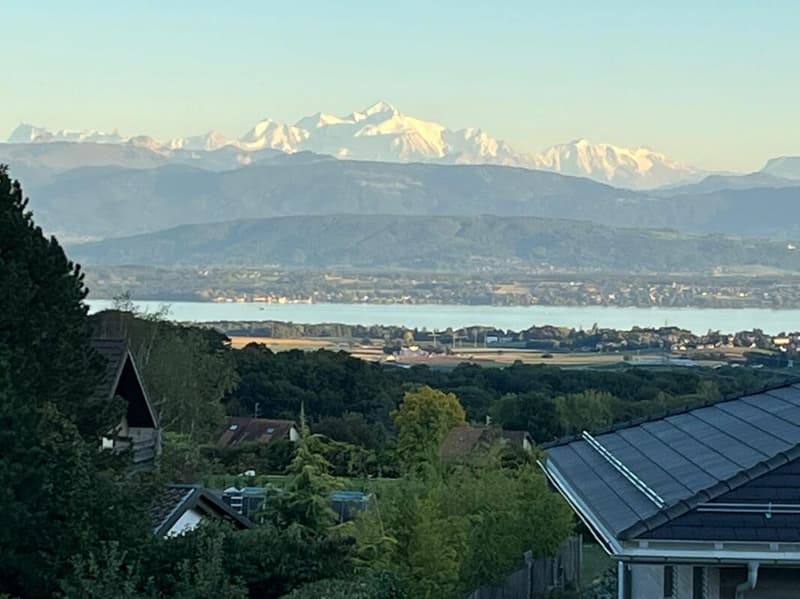 Attique terrasse avec splendide vue sur le lac (8)