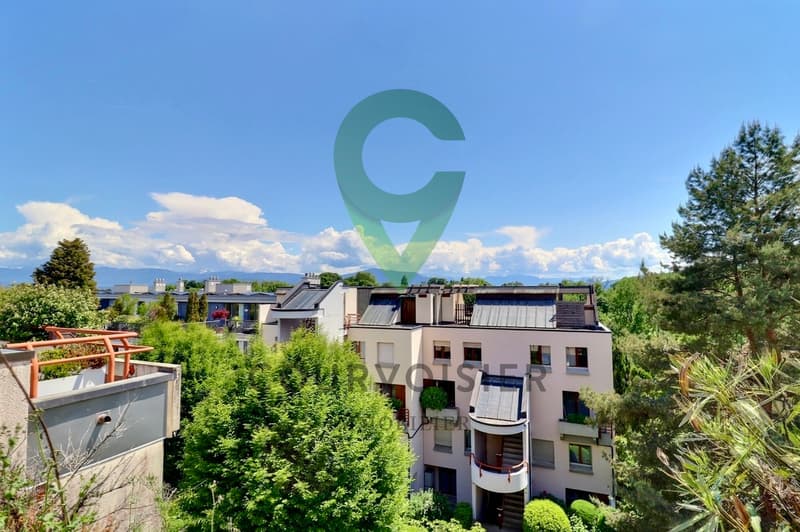 Spacieux triplex de 5.5 pièces niché dans un écrin de verdure (10)