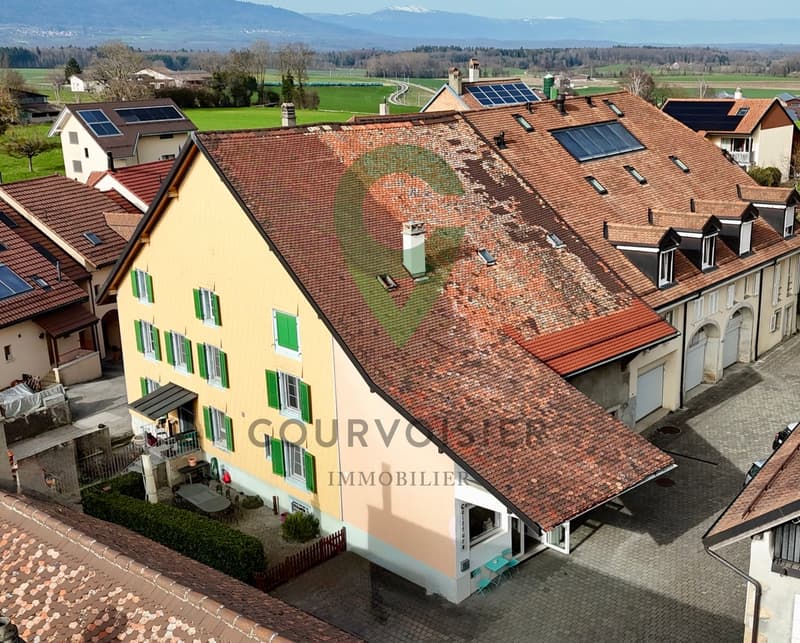 Maison de caractère avec dépendances et fort potentiel (2)