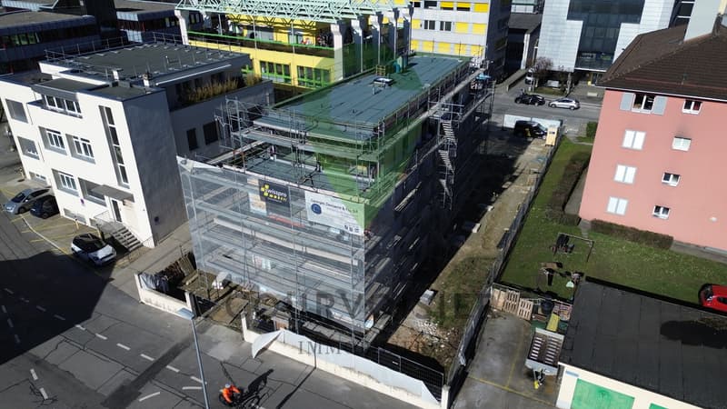 Baum Ende! Neues Projekt - Städtische Oase der Exklusivität (2)