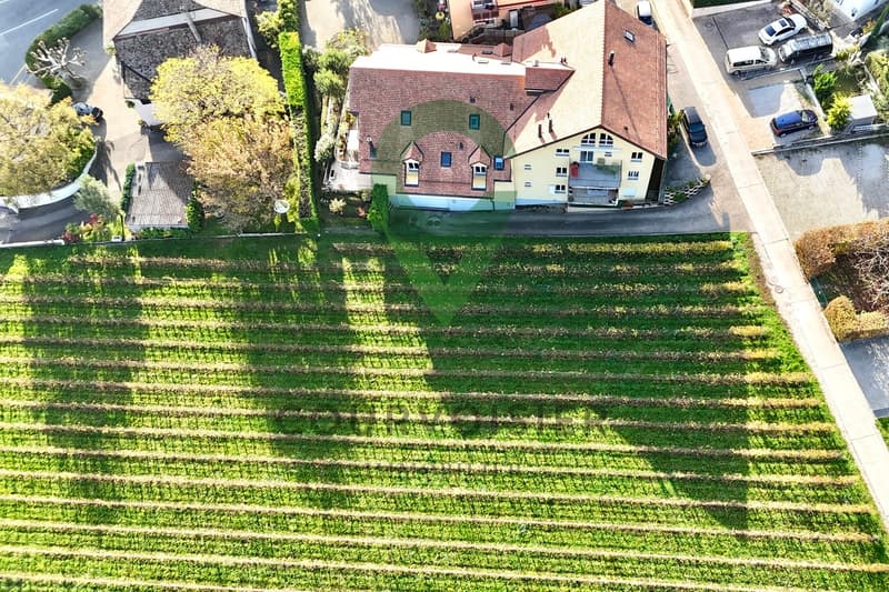 Lumineux attique rénové avec goût, vue sur les vignes et le lac (13)