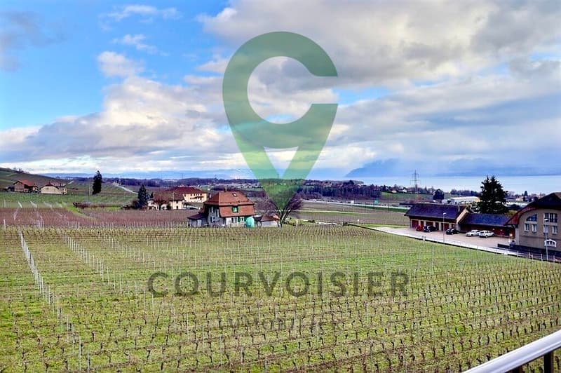 Lumineux attique rénové avec goût, vue sur les vignes et le lac (12)