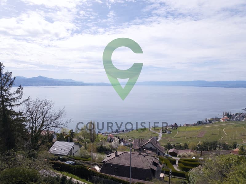 Nouvelle promotion en cours de construction au coeur du Lavaux (2)