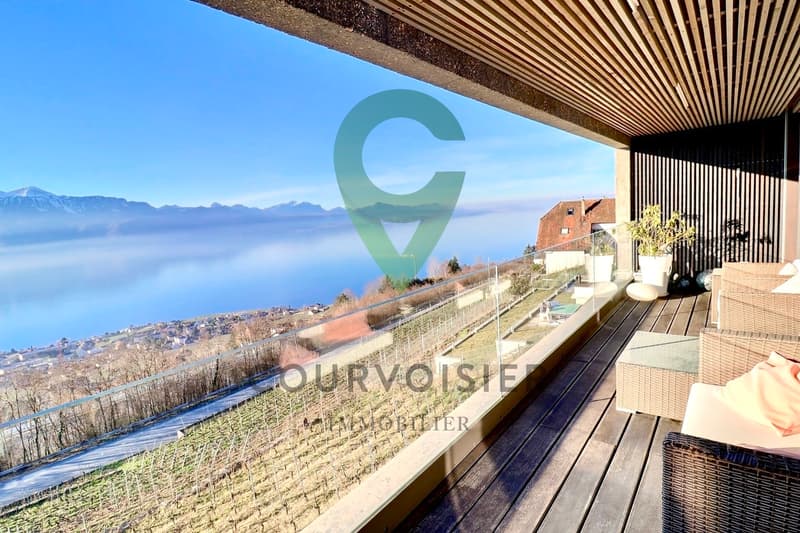 Magnificent duplex with breathtaking views of the lake and the Alps! (1)