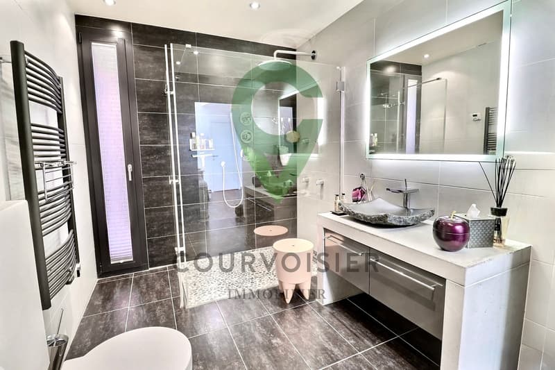 Magnificent duplex with breathtaking views of the lake and the Alps! (8)