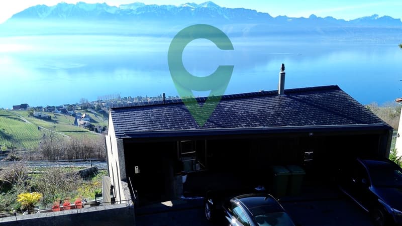 Magnificent duplex with breathtaking views of the lake and the Alps! (2)