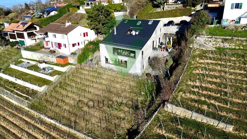 Magnificent duplex with breathtaking views of the lake and the Alps! (3)