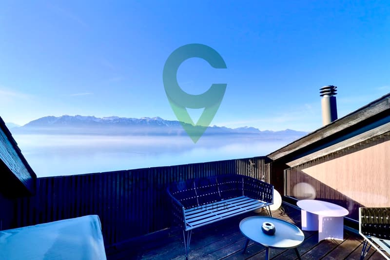 Magnificent duplex with breathtaking views of the lake and the Alps! (10)