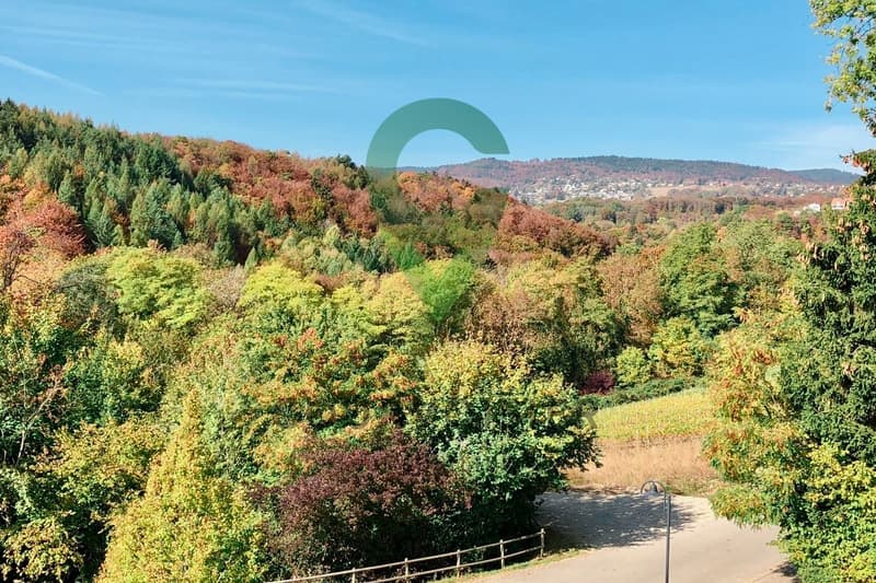 Spacieux 4,5 pièces aux portes de Gland (13)