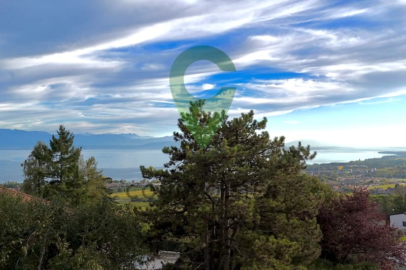 Magnificent house with breathtaking view and authentic character (9)