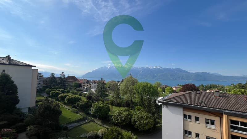 VUE IMPRENABLE SUR LE LAC ET LES ALPES A CHEXBRES (7)