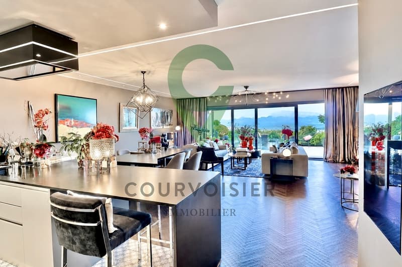 Exceptional apartment with terrace and panoramic view (3)