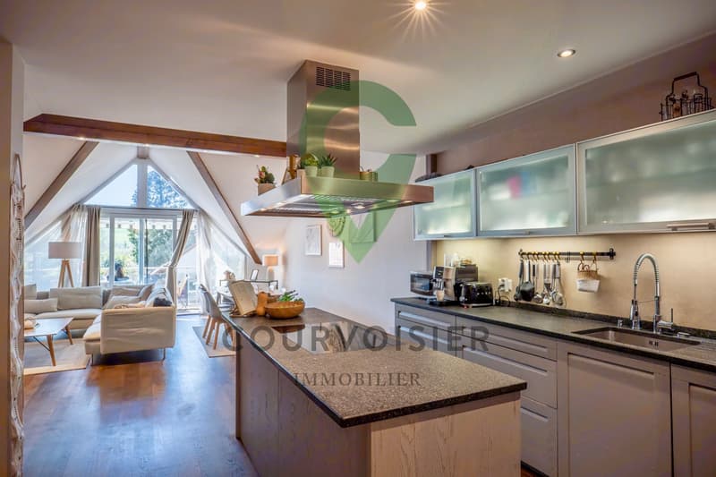 Spacious 5.5-room apartment in condominium (3)