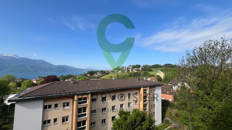 AGREABLE APPARTEMENT A CHEXBRES AVEC VUE SUR LES ALPES ET LE LAC (8)