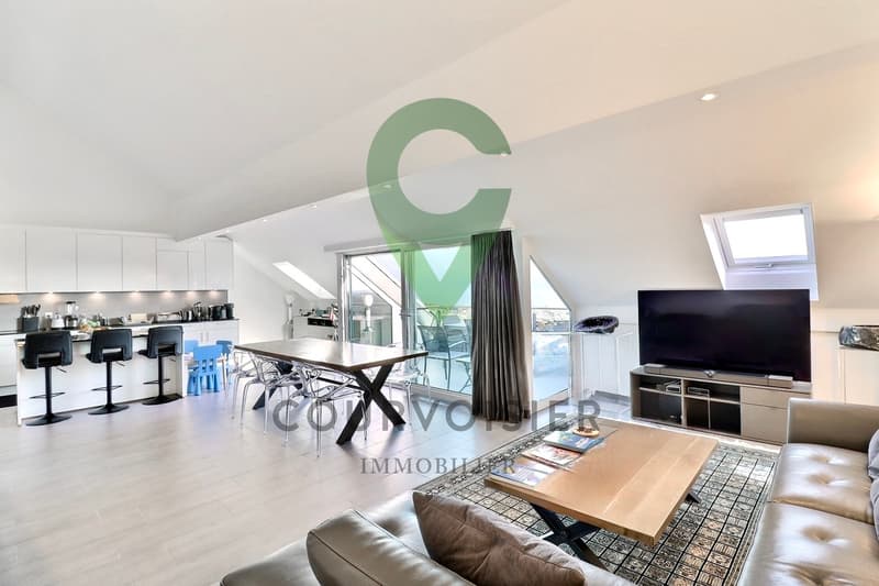 Apartment with exceptional panorama at the gates of Rolle (3)