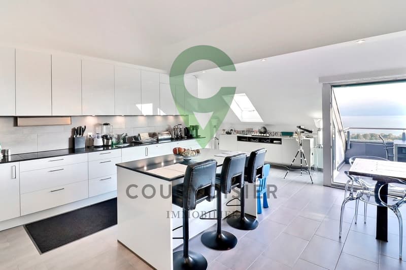 Apartment with exceptional panorama at the gates of Rolle (5)