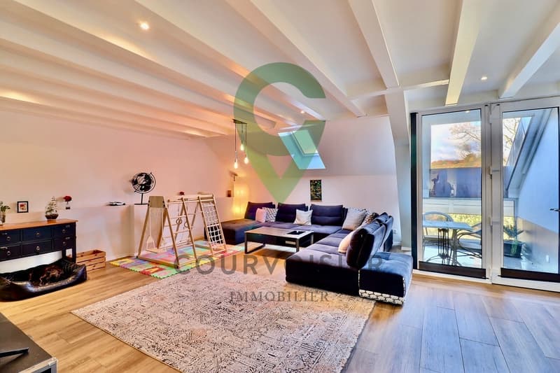 Superbe duplex de charme et grand confort proche de Bussigny (2)