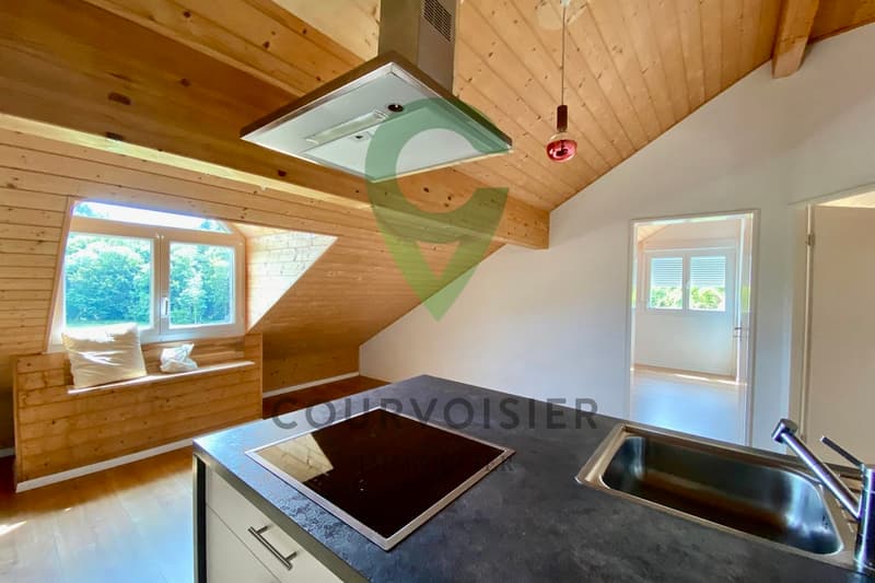 High-standard house with separate apartment (12)