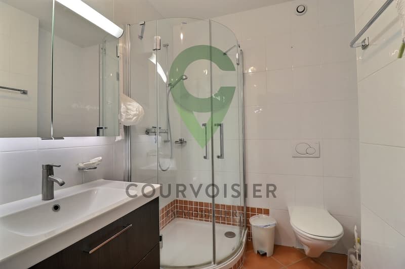 Spacieux appartement à Nyon (9)