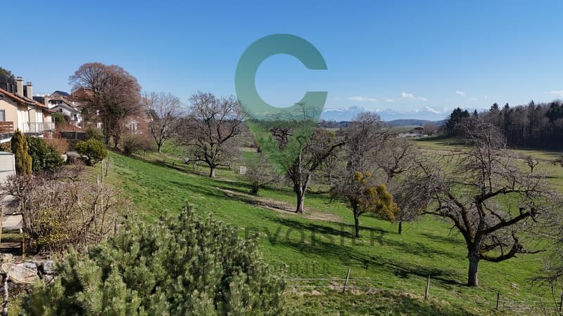 Geräumiges Haus mit separater Wohnung (4)