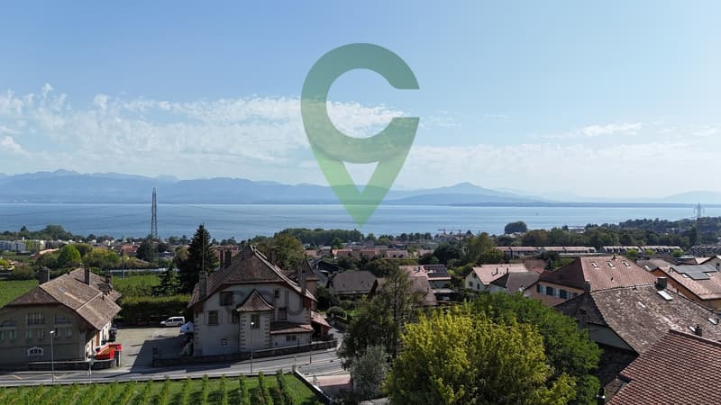 Attique rénové, vue sublime sur vignes, le lac et les alpes (1)