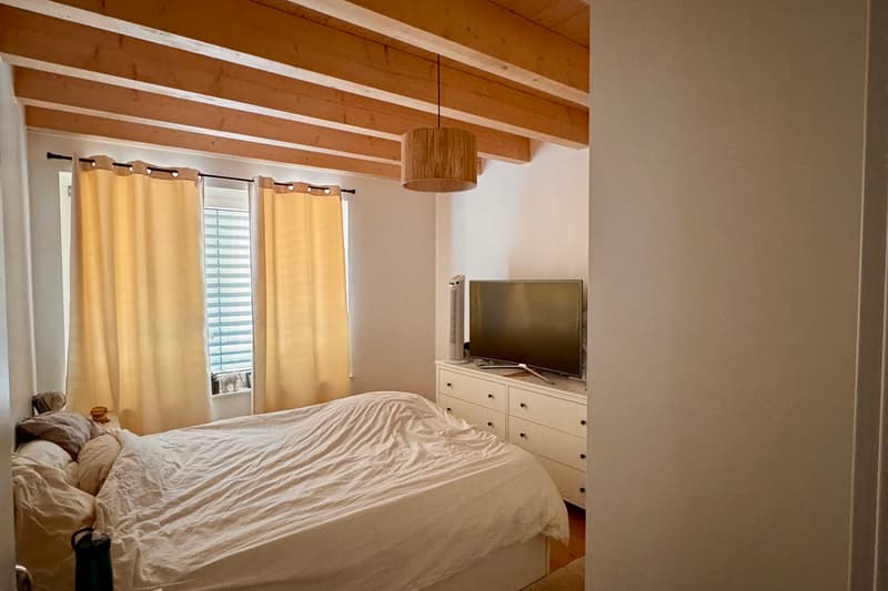 Ripresa del contratto di affitto - Duplex di 3,5 locali con vista sul lago (3)