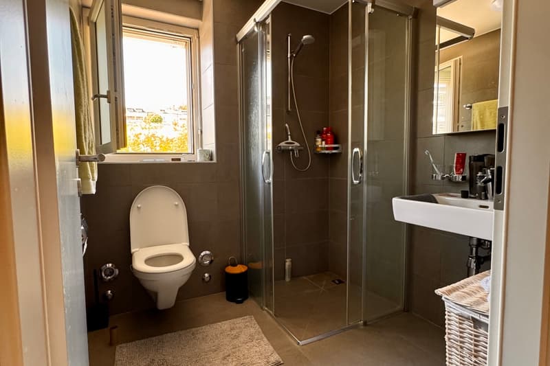 Ripresa del contratto di affitto - Duplex di 3,5 locali con vista sul lago (6)