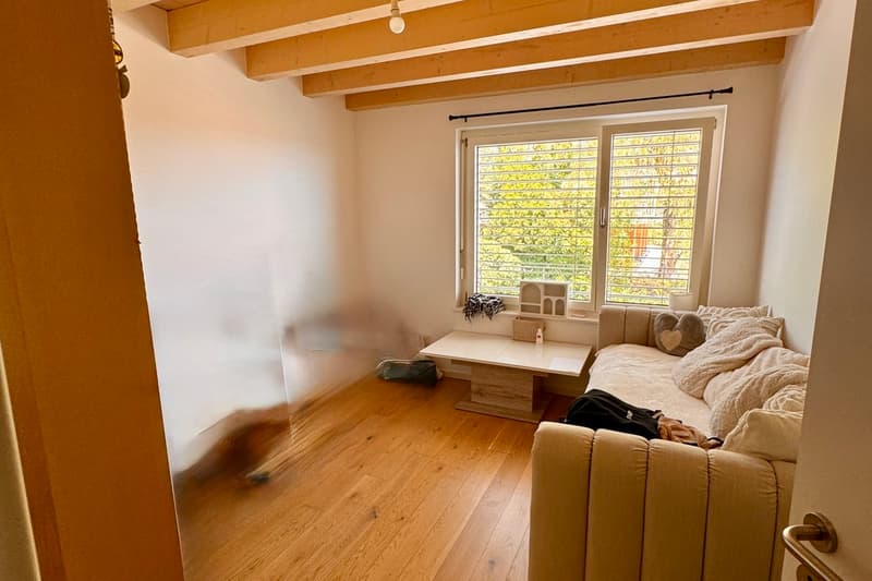 Ripresa del contratto di affitto - Duplex di 3,5 locali con vista sul lago (2)