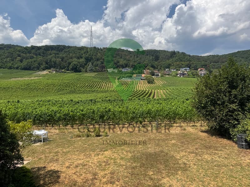 Schönes 4.5-Zimmer-Apartment mit Seeblick und Alpenblick (13)