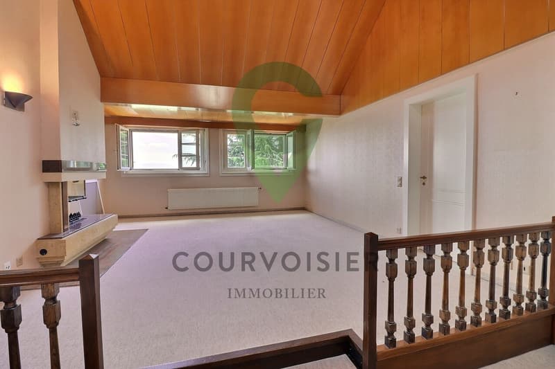 APPARTEMENT EN ATTIQUE AVEC VUE IMPRENABLE SUR LE LAC ET ALPES (2)