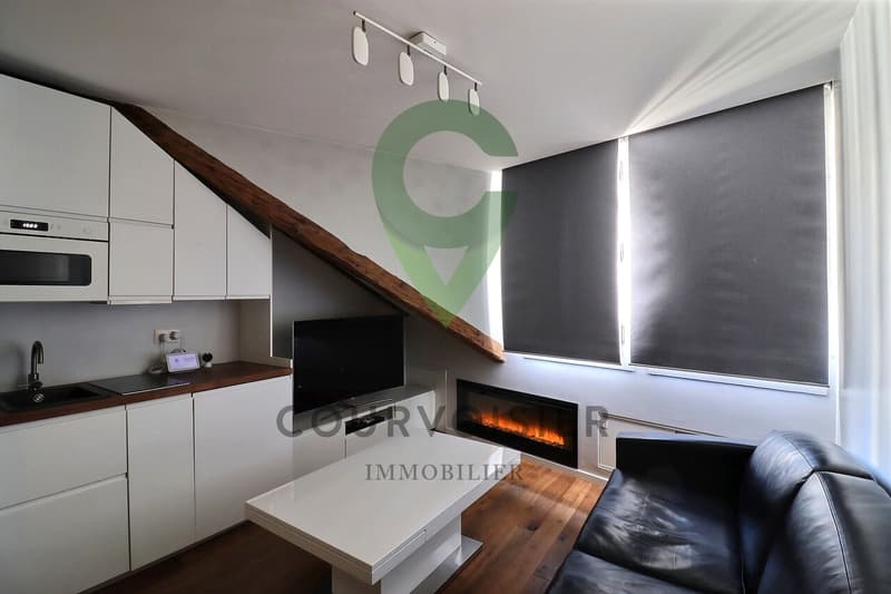 Studio with character in old town Geneva, ideal for students (5)