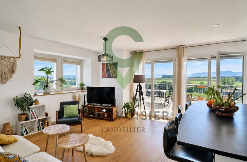 Beau 3,5 pièces avec grande terrasse à quelques minutes de Morges (1)