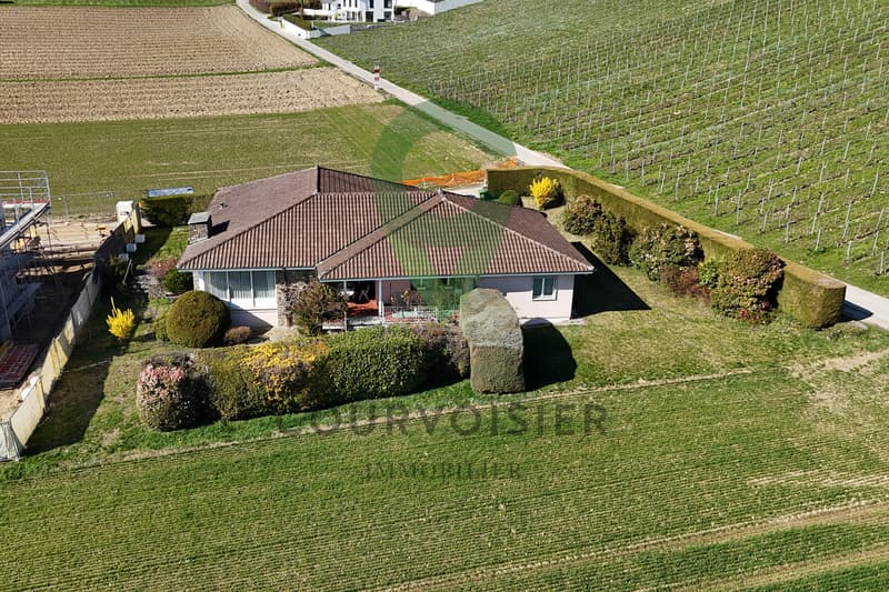 Proche de Morges : maison de plain-pied avec vue dégagée (3)