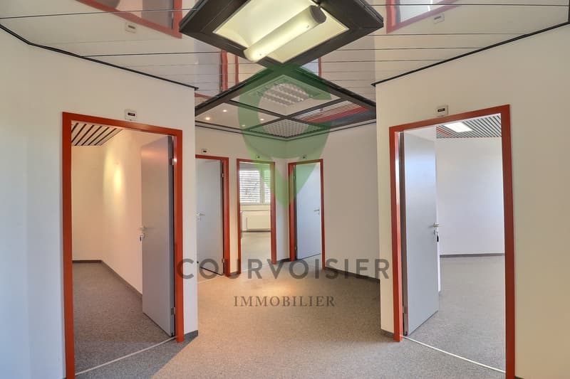 VOS NOUVEAUX LOCAUX DANS LA ZONE DE LA PLAINE DE L'ASSE À NYON (10)