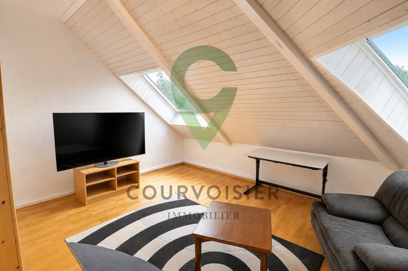 Magnifique villa avec 2 logements, jardin et piscine à Rolle (8)