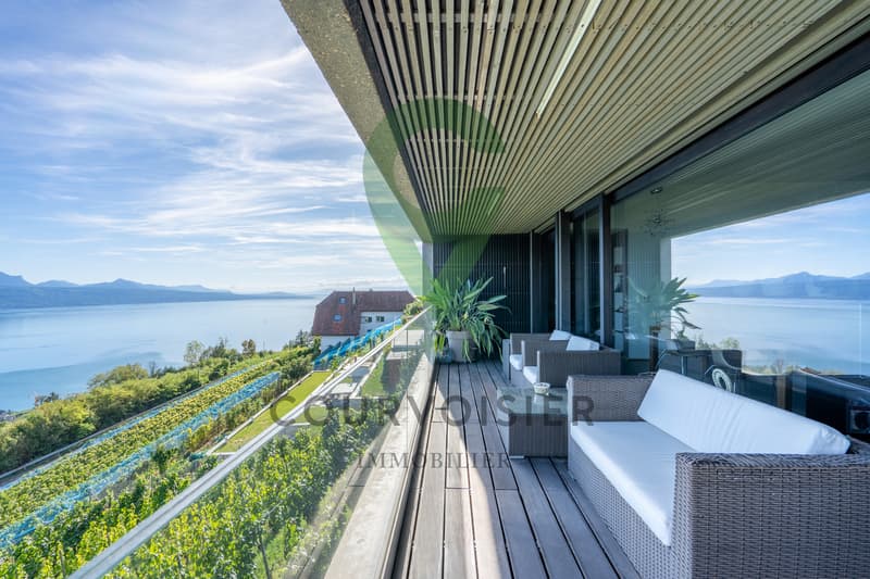 Splendide duplex au coeur du Lavaux avec vue imprenable! (3)