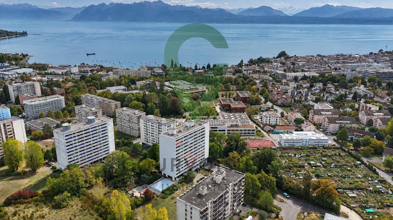 Un bien d'exception avec vue panoramique sur le lac et les Alpes (1)