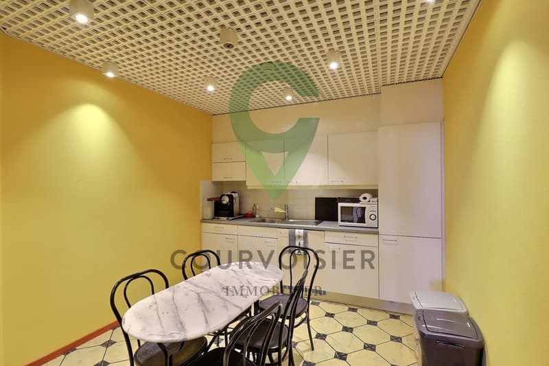 LOCAUX PRÊTS À L'USAGE À NYON (7)