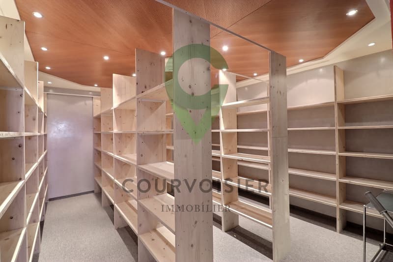 LOCAUX PRÊTS À L'USAGE À NYON (12)