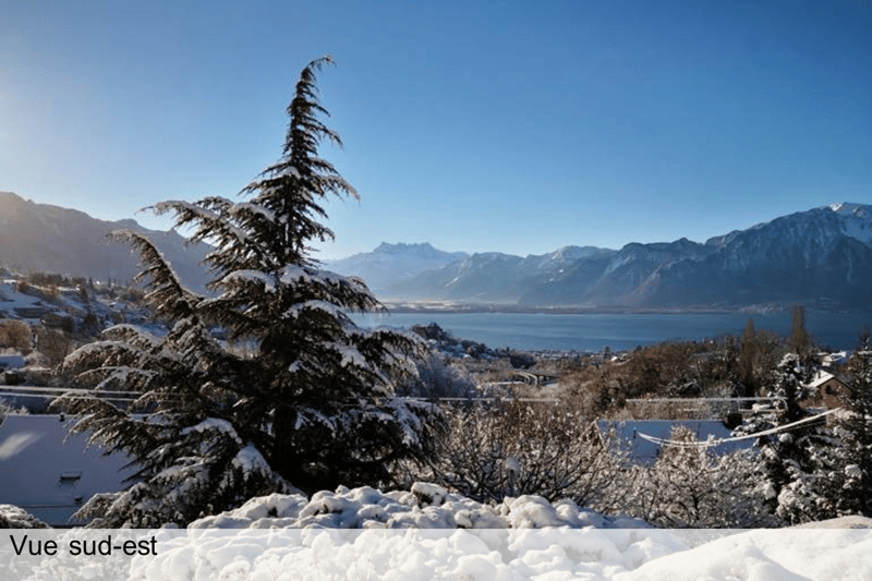 Winter landscape with mountains, lake, and snow-covered trees