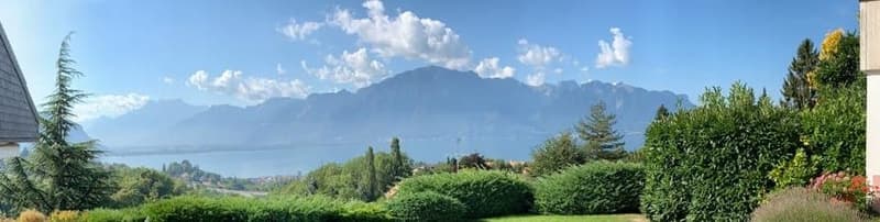 Green grass, various bushes, garden plants, lake, mountains