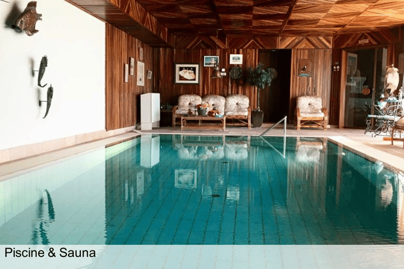 Rectangular swimming pool, wooden wall, couches and potted plant, wooden ceiling