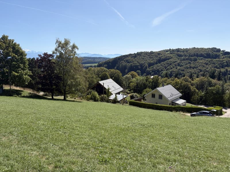 2 plots of 1100 m² - 30 minutes from Geneva (8)