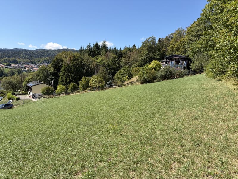 2 plots of 1100 m² - 30 minutes from Geneva (7)