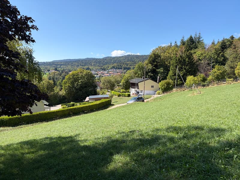 2 plots of 1100 m² - 30 minutes from Geneva (3)