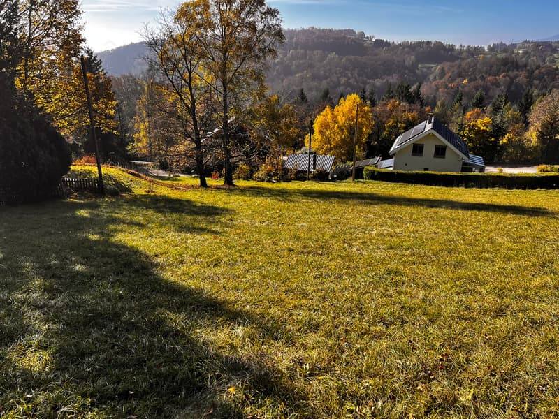 2 plots of 1100 m² - 30 minutes from Geneva (5)