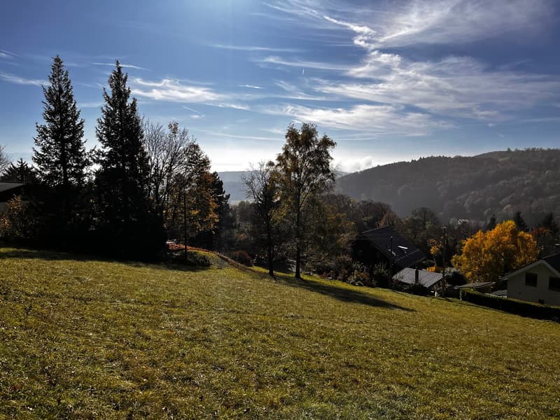 2 plots of 1100 m² - 30 minutes from Geneva (6)